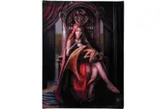 Anne Stokes Friends Forever Canvas (Multicoloured) (Small)