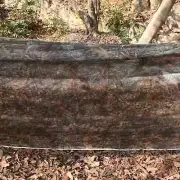 CamouflageNet 300D Big Tree Bionic See Through Camping Disguise for Hunt CamoNet