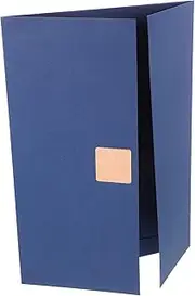 OFFSCH Certificate Cover Award Holder Document Presentation Folder Certificate Protector for Achievements Diplomas Awards Classic Design for Home Office Use
