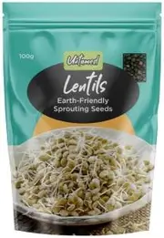 Untamed Lentils Earth-Friendly Sprouting Seeds G/F 100g