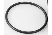 Davey Sureflo Pump Barrel Union Oring