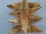Coconut Husk Pure Natural Eco-friendly Orchid Anthurium Growing Media FIBER 400g