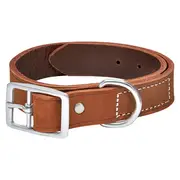 All Day Plain Leather Dog Collar Brown