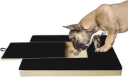 Wooden Pull-Out Dog Scratching Board – Durable Pet Grooming Tool, Interactive Na