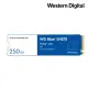 WD 藍標 SN570 M.2 PCIe 2280/ NVMe/SSD固態硬碟