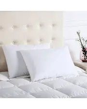 Firefly Twin Pack White Feather And Down Blend Pillow