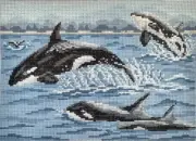 Needlepoint Handpainted Needle Crossings Pod of Orcas