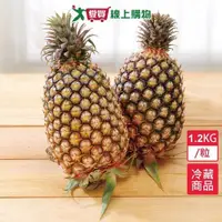 在飛比找ETMall東森購物網優惠-金鑽鳳梨1.2KG/粒【愛買冷藏】