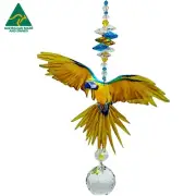 Macaw Parrot Crystal Suncatcher gift, bird lorikeet sun catcher suncatchers