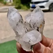96G Natural White Crystal Backbone Cluster Black Mineral Mud Specimen