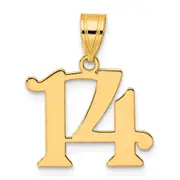 14k Yellow Gold Polished Number 14 Pendant