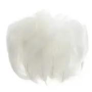 Colorful Feathers 3-5inch, 300pcs Goose Feathers Bulk, White