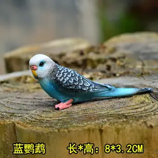 仿真野生動物模型實心飛鳥類微景觀兒童玩具飛禽老鷹鸚鵡天鵝環保