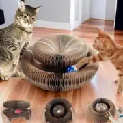 Kitten Curl Toy Foldable Magic Organ Cat Scratching Board Durable Recyclable Car