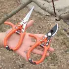 Pruning Shears Plant Scissors Trim Tree Snip Branch Garden Secateur Cutting Tool