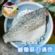 【鮮綠生活】 (免運組)台灣金目鱸魚清肉(400-500克/包 )共20包