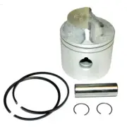 Piston Kit Fits Johnson/Evinrude 9.9 /15 Hp Cross Flow 93-07 .020 Over 1993-2007