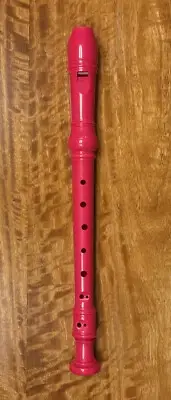 Recorder - Musical Flute Instrument – plastic – NEW in package
