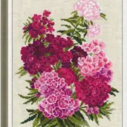 Flaxen Blooms Cross Stitch Kit - Sweet William Design - 14ct. AIDA - 14 Colors -