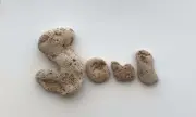 Natural Letter Shaped SOUL Rocks Beach Stones pebble art craft sign word USA