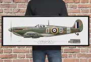 Supermarine Spitfire MkVB - Douglas Bader - Framed Panoramic Print