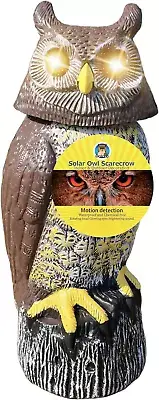 Solar Owl with Detection, Flashing Eyes, Spinning Head and Realistic Hoots, Plas