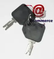 Hyster Set 2 Key Of Contact Switch Spark Plug Ignition Trolley Pieces 186304