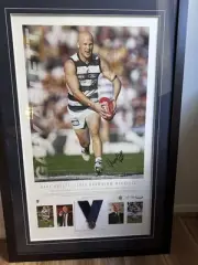 Gary Ablett limited AFL Official 195 of 200 only.
