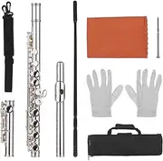 16 Holes Closed Hole Flute C Key Flutes Cupronickel Woodwind Instrument with Cleaning Cloth Rod Gloves Screwdriver Flute