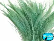 5 Pieces - AQUA GREEN BLEACHED Peacock Swords Cut Feathers