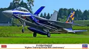 HASEGAWA 1/72 JASDF Japan F-15DJ Eagle Fighter Training Group 20th Anniversary