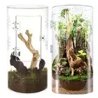 Jumping Spider Enclosure Arboreal Reptile Acrylic Tank Waterproof Reptile Enclos