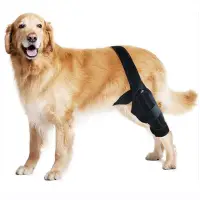 在飛比找蝦皮購物優惠-寵物用品熱銷狗狗護腿狗護具ACL韌帶撕裂受傷保護康復帶關節脫