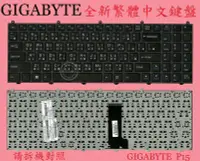 在飛比找Yahoo!奇摩拍賣優惠-技嘉 Gigabyte P15 喜傑獅 CJSCOPE QX