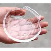Glass Feeding Dish (SHELL) L(R20) For Fish Shrimp Snail Tank Aquarium