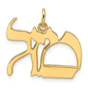 14k Yellow Gold Polished Solid Mazel Symbol Pendant