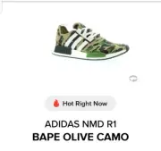 Adidas X Bape NMD R1