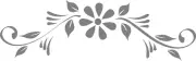 DIY Paint Reusable Mylar Stencil - Flower Floral Pattern Border Swirl Frame v17