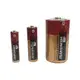 無尾熊環保碳鋅電池(1號/3號/4號) 一號電池 三號電池 四號電池 無汞碳鋅電池 環保碳鋅電池