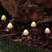 SolarCentre® Forest Outdoor Solar Powered Mushroom Lights - Set of 12