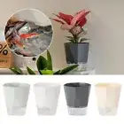 Self Watering Hydroponic Planter with Handle Potted Flower Pot