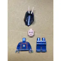 在飛比找蝦皮購物優惠-LEGO 樂高 人偶 螳螂女 漫威 星際異攻隊 76255