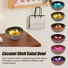 Entrance Key Storage Plate Printed Color Coconut Shell Bowl Painting Salad Bowl