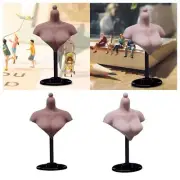 1:6 Scale Female Figure Bust Stand Half Bust Base Stand Platform for Cosplay