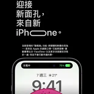 APPLE iPhone 14 Pro 256G 蘋果新機 預購 廠商直送