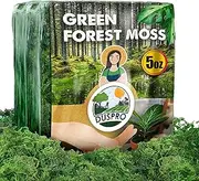 Duspro Green Moss for Crafts, Artificial Potted Plants, Decorative Table Centerpieces Wedding Christmas Fairy Party Decor, Faux Indoor Planters, DIY Project 140gr