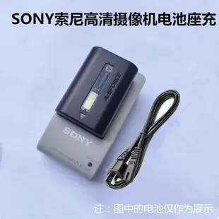 適用於索尼HDR-CX220E XR500E PJ220E XR520E CX100E攝像機電池+充電器