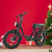MAMBA SAHARA Step Through Electric Bike Mountain Bicycle E-MTB E-Bike eBike 48V