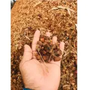 Dry Coconut Husk Chips Husk Orchids Anthodium Growing 100% Natural we have bulk