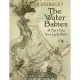 The Water Babies: A Fairy Tale for a Land-baby